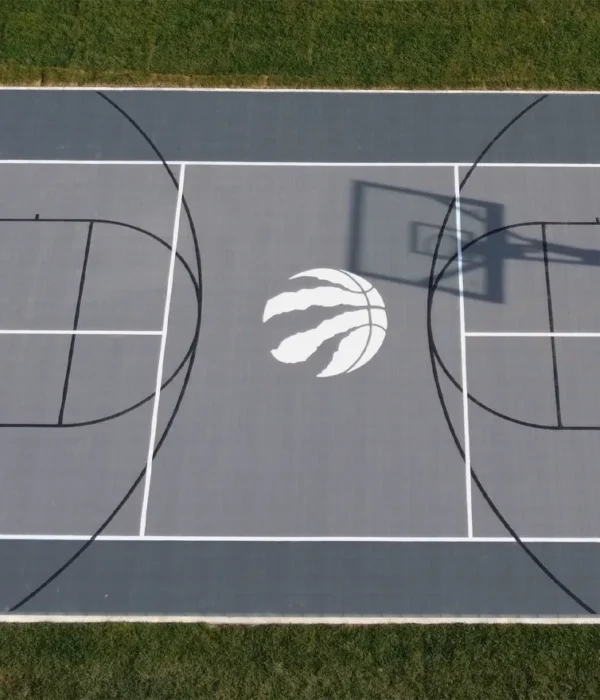 An aerial view of a grey custom Toronto Raptors backyard basketball court installed by Elite Courts.